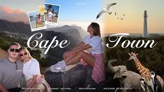 ВЛОГ Кейптаун|Погружение с акулами|Пингвины|Сафари|Безопасные районы| Самые красивые локации 