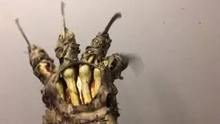 Nightmaregloves New Evil Dead Nightmare glove