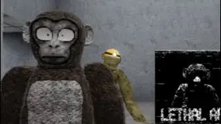Lethal Ape Elite