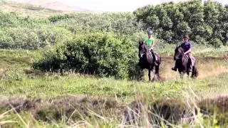 Puur Terschelling