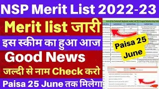 NSP Scholarship Merit list Release 2022-23 | NSP Payment List Out👉 25 June Payment Date🤑| Check Name