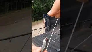 Лучший способ поймать живого пескаря на наживку!!! #шорты