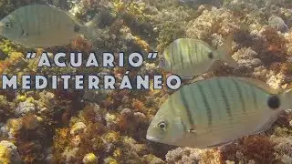 😱 IMPRESIONANTE 