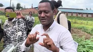🔴HOW GM IRISH POTATOES ARE CONTROLLED IN CONFINED FIELD TRIAL, MUSANZE -RWANDA 2025