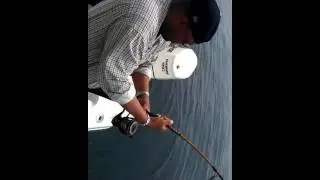 First Giant Tuna Hookup - 2011