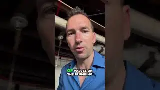 Basement Valves: Gate Valve Inspection & Potential Issues #shorts