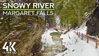 8 HRS Calming Winter Ambience of a Snowy Forest River - Nature Soundscape Video (4K UHD)