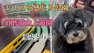 【昭和レトロ旅】須磨浦山上遊園に愛犬と遊びにきたよ【兵庫県】