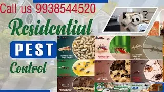 Pest Control Service || Termite treatment || Sanitization || Cockroach Treatment.
