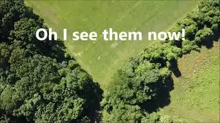 Caumsett State Park On Long Island As Seen By Drone