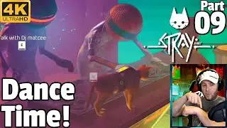 Stray! 🐈 | 09 Finding Clem again! | Let's Play Full Walkthrough #Stray #StrayGame #CatGame