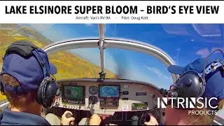 Lake Elsinore Super Bloom - Bird's Eye View - In OnReal 4K HD