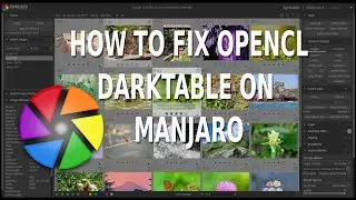 HOW TO FIX DARKTABLE OPENCL AMD ON MANJARO 21.0.7