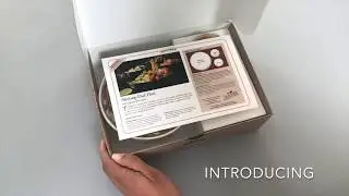 Introducing the New Epicured Bento Box