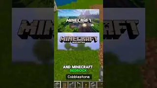 WHY is Minecraft Called Bedrock and Java Edition?