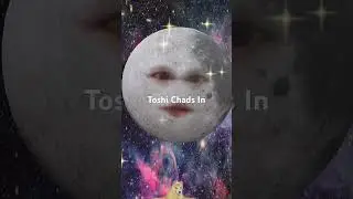 Toshi The Crypto Dog Chads In! #cryptocurrency #crypto #toshi #solana #bitcoin #dogecoin #shiba #btc