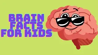 Does The Brain Ever Sleep? | Brain Facts For Kids