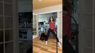 The Show Must Go On! 🤣