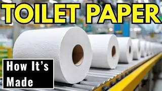 How Toilet Paper Is Made | From Recycled Paper to Perfect Rolls (Made Simple)