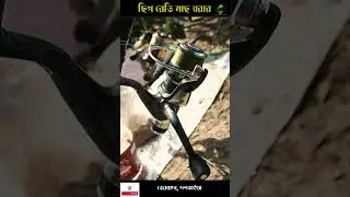 এখনই মাছ ধরা শুরু করব #fishing #fishbox #fishspecies #monirhridoy #fish