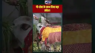 Makar Sankranti पर PM Modi ने गायों को खिलाया चारा | Viral Video #shorts #modi