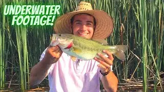 Bass Fishing Washington (6 LB BASS!!!)