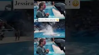 Jessica Orca Attack! #orca #orcawhale #orcaattack #whale #oceanlife #jessica #jessicaradcliffe