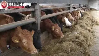 Blaney Agri - Demo Series (Armagh-Down)