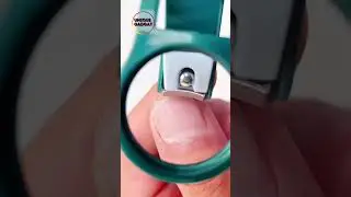 Nail cutter with magnifying glass