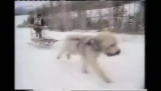 NBC Stone Fox Special (1987)