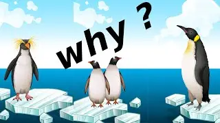 Why don't Oceans Freeze?  Are Icebergs Made of Salt water or Fresh water?