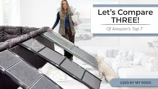 3 of the Best Dog Ramps on Amazon (Honest Comparison) 🐾