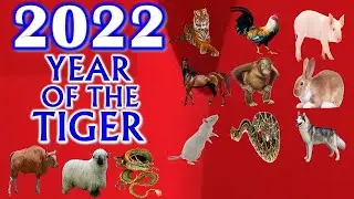 2022 Horoscope | 12 Animal Signs