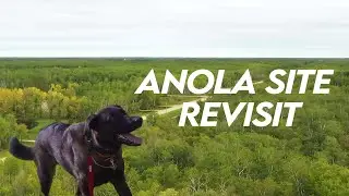 Revisiting Anola