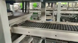 Produce Your Own: The Seed Tray Machine for Business Growth & Independence