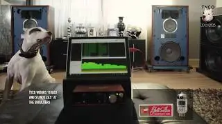 JBL 4343, Schiit Freya, Genalex Gold Lion (RUS) vs NOS Tungsram (HUN) tubes Listening Test