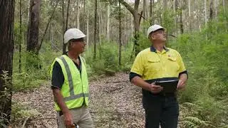 Single tree selection and thinning