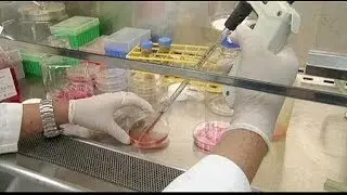 Deadly Middle&nbsp;East&nbsp;Respiratory&nbsp;Syndrome spreads to Egypt