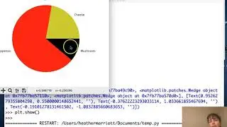 Python - matplotlib pie and bar charts