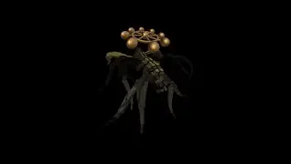 Scape and Run: Parasites is Fair and Balanced