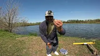 Early Spring Bass Fishing for Spawn Bass