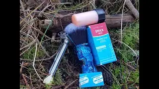 If You Go Down In The Woods Today....