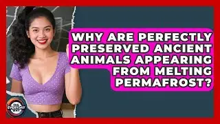 Why Are Perfectly Preserved Ancient Animals Appearing From Melting Permafrost? - The Everyday Why