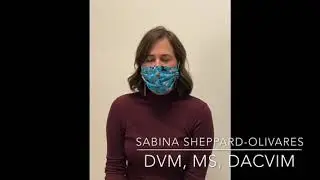 Pet Specialists of Austin Oncology Department Introduction