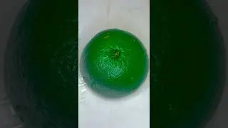 Fruit, cutting amazing green orange