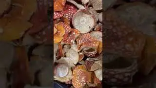 Подписывайтесь  в тг 👉  