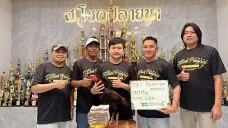 REVIEW MOMEN RADOXFARM BELI AYAM UZI SEHARGA 1 MILYAR 