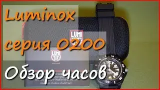 Наручные часы Luminox Sentry 0201.SL