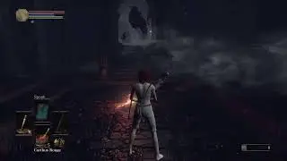 Dark Souls 3 SL1 - Nameless King Hitless tries
