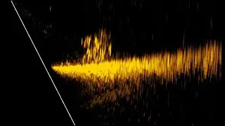 Lowrance Eagle Eye 9 Raw Live Scope Footage
